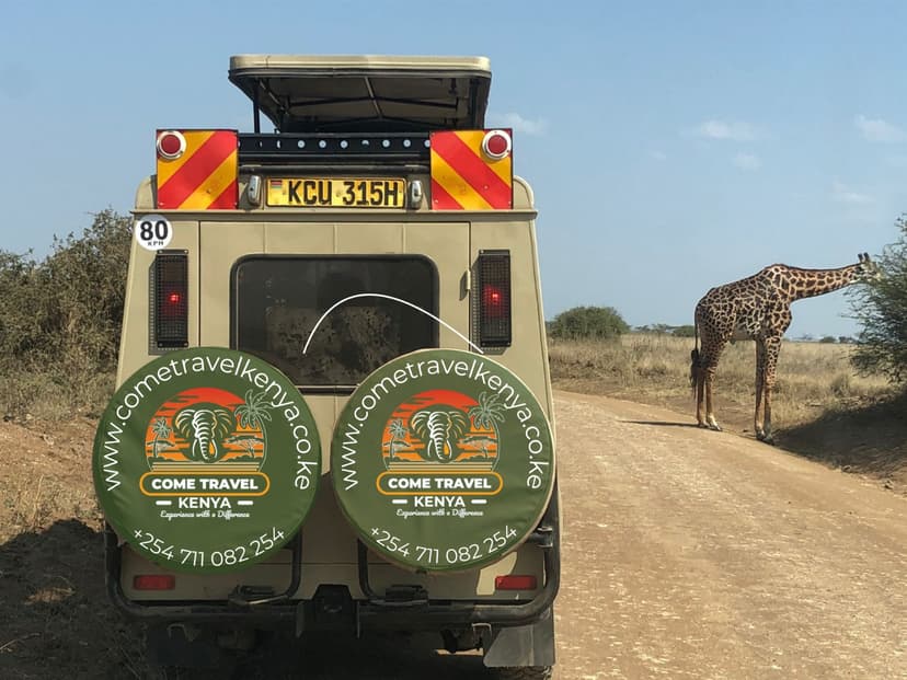 Tours & Safari Vehicles