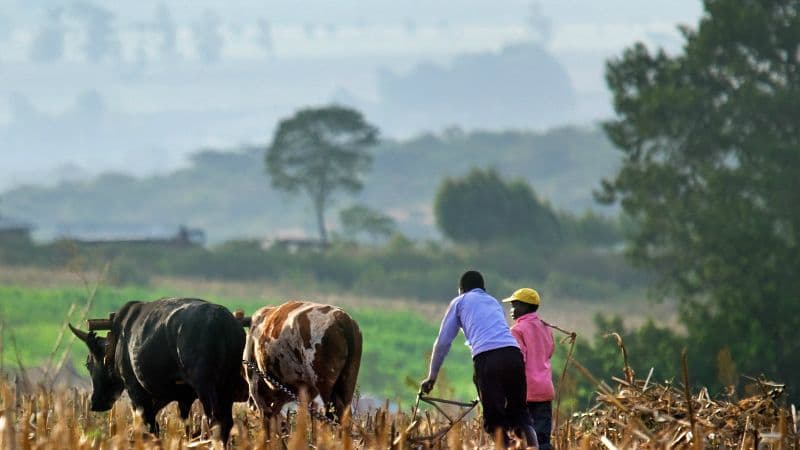 western kenya