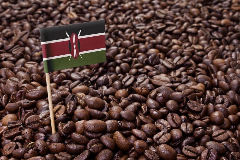 Kenya’s Coffee Culture