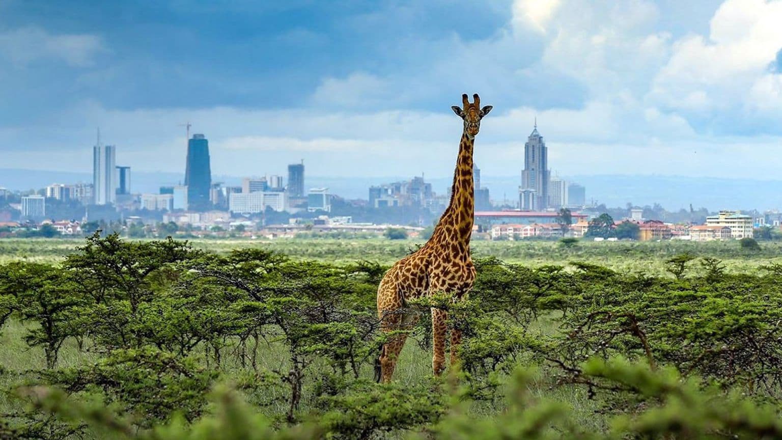 Nairobi, Kenya – A City From Ashes