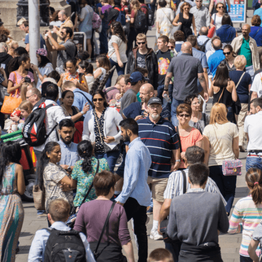 crowds