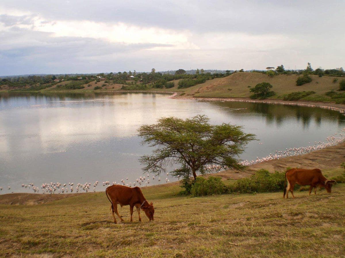 10 Plus 2 Mystical Places You Want To Visit When In Kenya