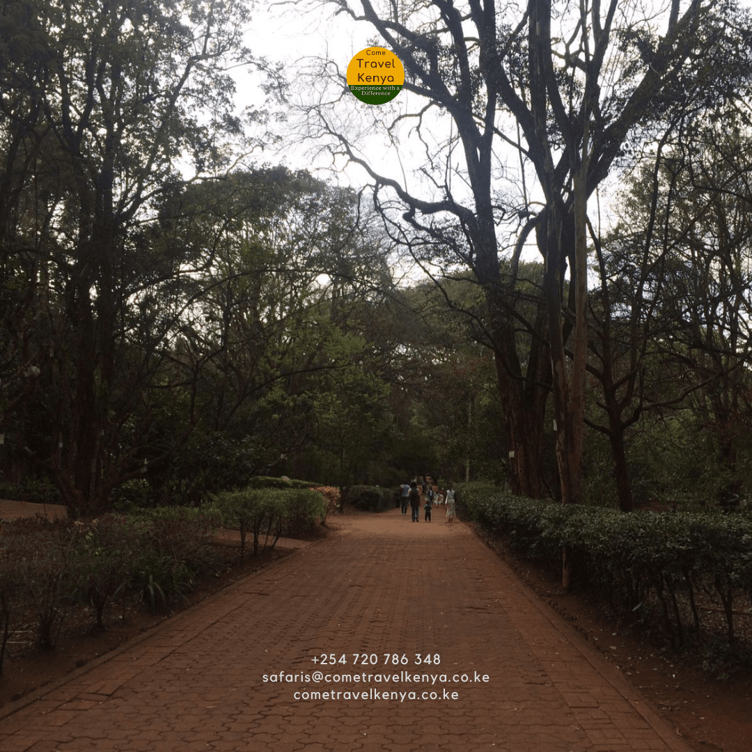 arboretum walk