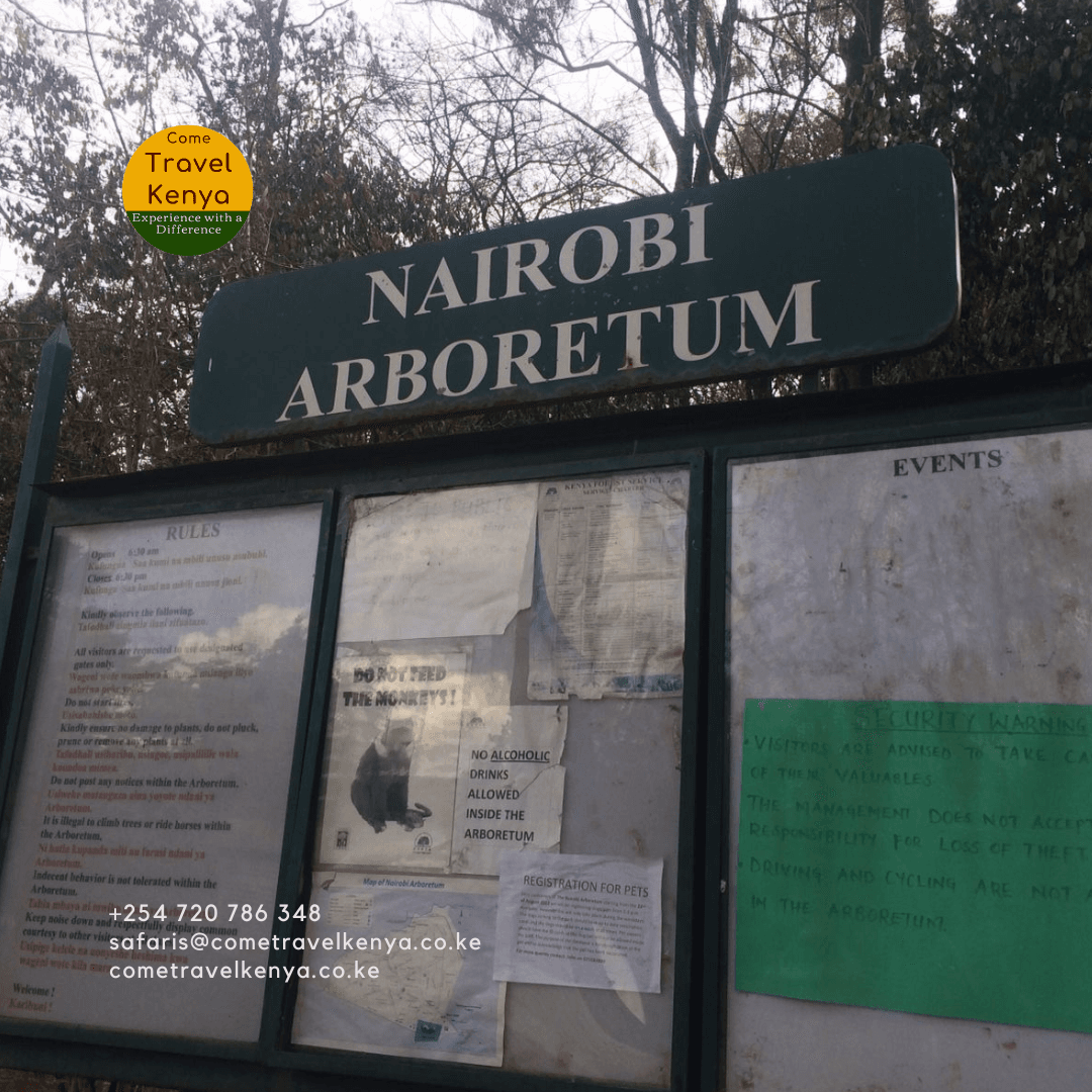 Nairobi Arboretum